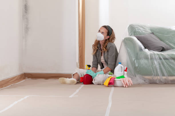 Reliable Mold Removal contractor in Danvers, MA by WQB Mold Removal